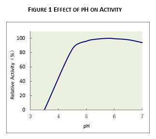 O baixo PH tolera o calor líquido - enzimas estáveis para a amílase-alfa HA do álcool etílico - 470 280000 U/ml