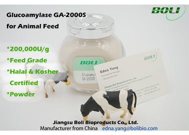 Enzimas biológicas 200000 U/g da atividade alta, enzima do Amyloglucosidase da alimentação animal