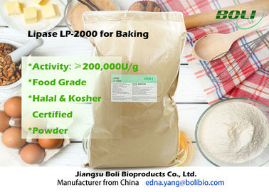 Enzima LP-2000 do Lipase do pó do produto comestível altamente eficiente para a padaria 200000 U/g