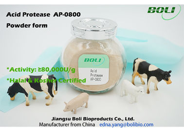 Atividade ácida 80000 hidrólise de U do Protease AP-0800 do pó de Boli/g da amostra grátis das proteínas disponível
