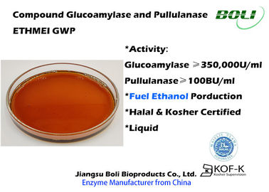 Glucoamylase e enzimas misturadas Pullulanase para a categoria técnica do GWP do álcool etílico ETHMEI