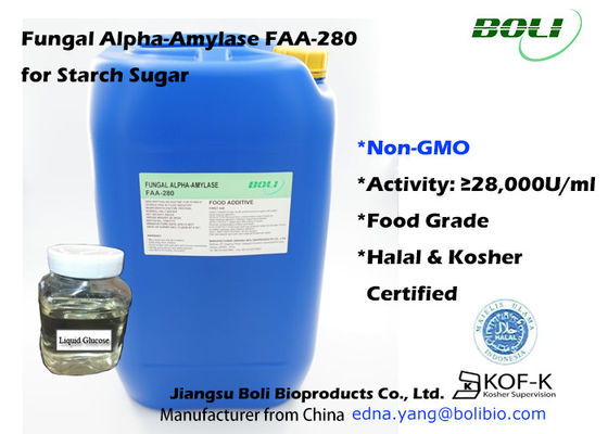 Não indústria fungosa de Alpha Amylase For Starch Sugar da enzima do alimento do Gmo