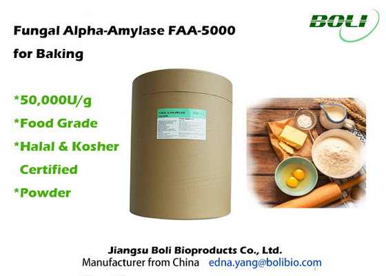 Pó fungoso de Alpha Amylase Baking Enzymes FAA-5000 50000U/G
