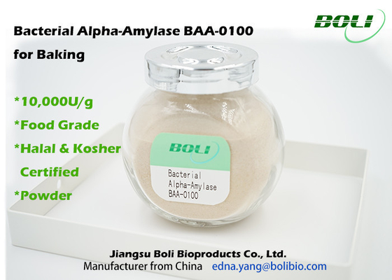 Não GMO Alpha Amylase bacteriana BAA-0100 para o pó da padaria