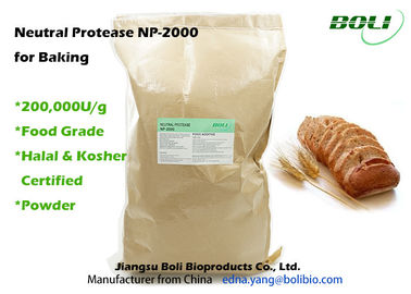 Protease neutro de cozimento NP 2000 das enzimas do produto comestível para kosher Halal certificado