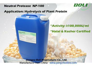 Protease neutro para a hidrólise da proteína de planta, produção industrial de enzima do Protease