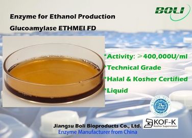 Glucoamylase concentrado elevação Ethmei Fd da atividade de enzima para a produção do álcool etílico