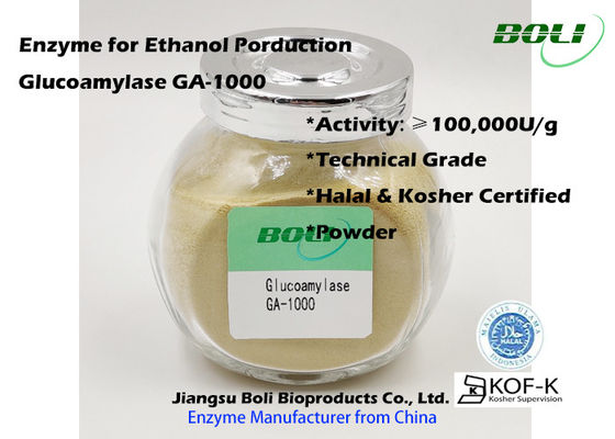 Pó industrial da enzima do Glucoamylase GA-1000