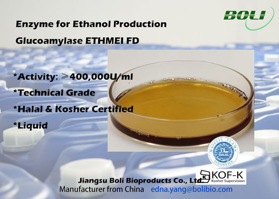 Enzima alta ETHMEI FD do Glucoamylase da atividade para a produção do álcool etílico