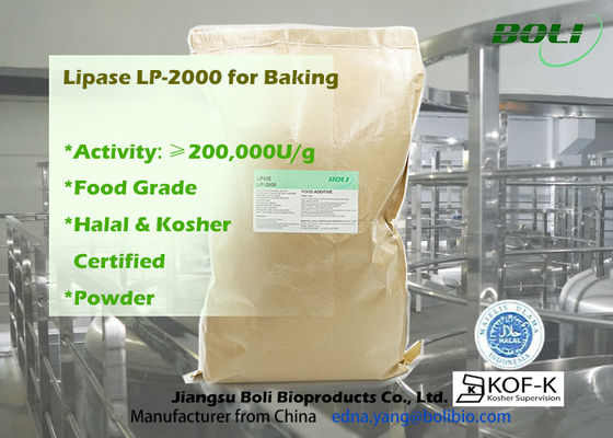 200000u/G pulverizam a enzima eficiente alta do Lipase Lp-2000 para a utilização alimentar da padaria