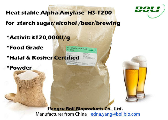 Produto comestível alto de GMO de 120000 U/de atividade da enzima amílase de G NÃO - Halal &amp; kosher certificado